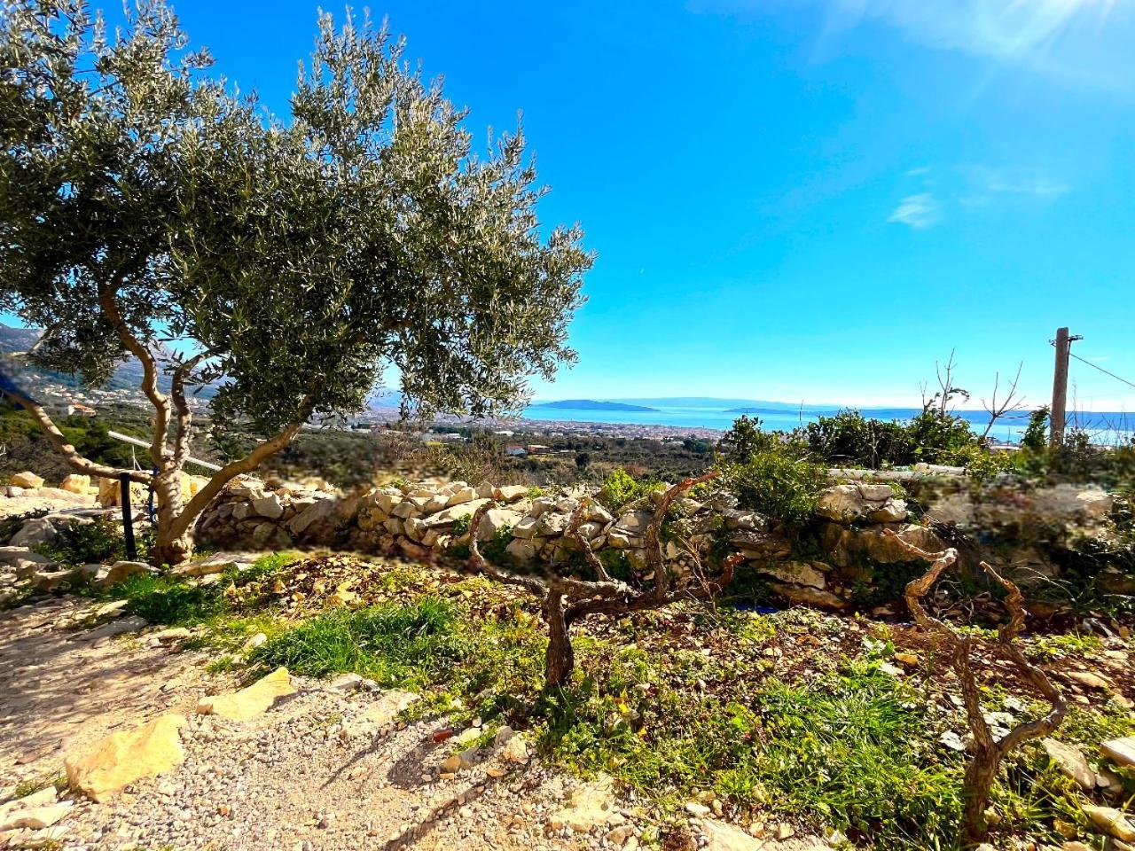 Villa Bepina, Surrounded By Sea, Olive, Vineyard *