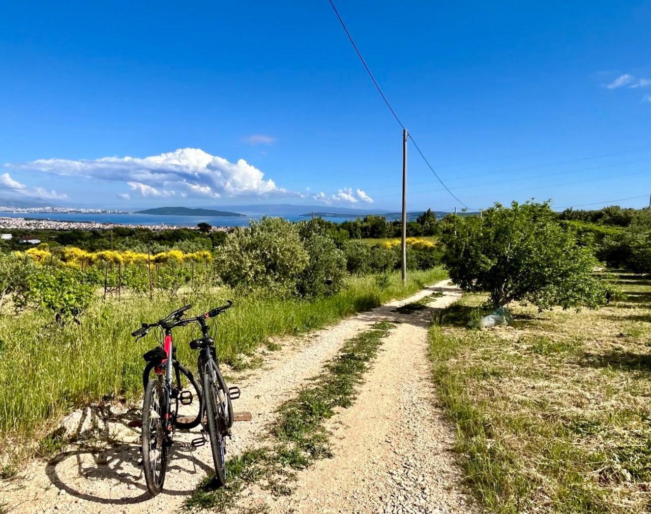 Bepina, Surrounded By Sea, Olive, Vineyard Villa